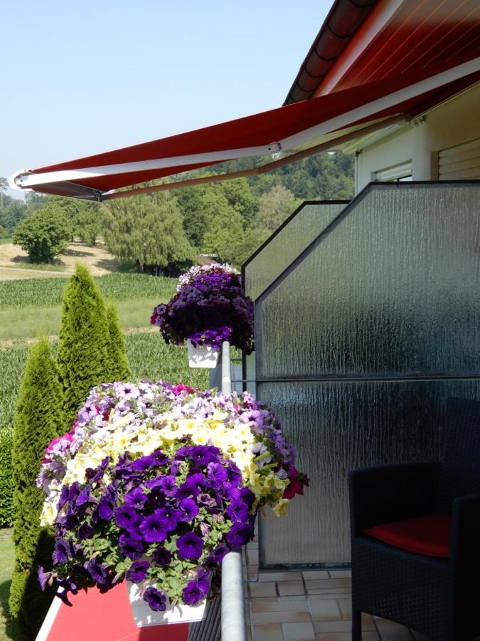 Hotel Kurallee Meersburg Esterno foto